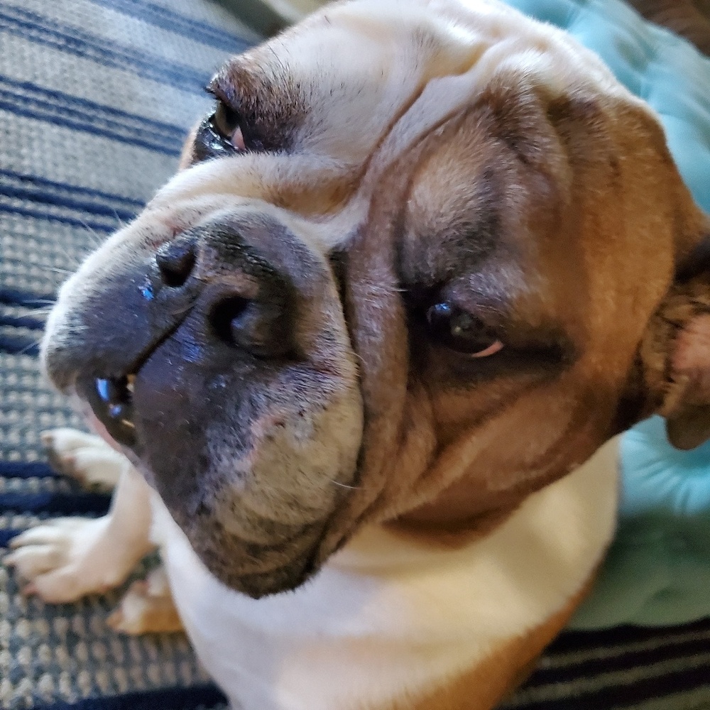 Meet your Posher, Adriana